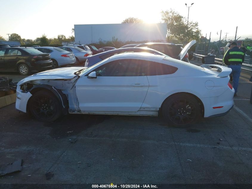 2019 Ford Mustang VIN: 1FA6P8TH4K5195506 Lot: 40675504