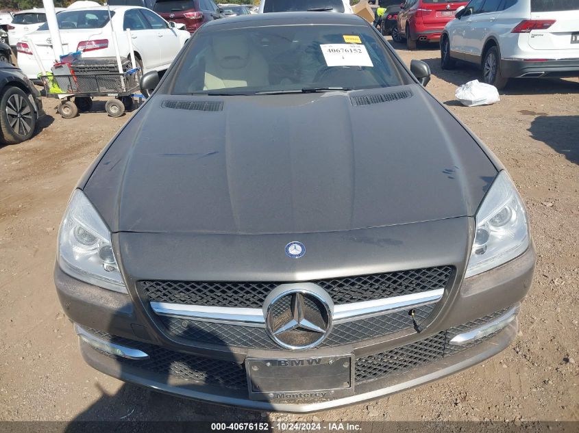 2015 Mercedes-Benz Slk 250 VIN: WDDPK4HAXFF101183 Lot: 40676152