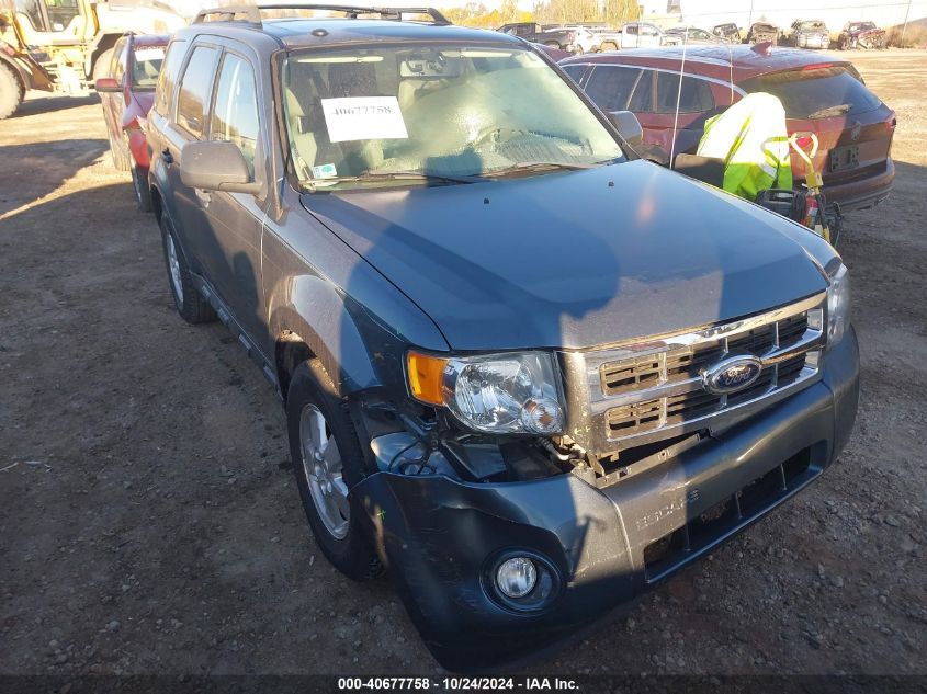 2010 Ford Escape Xlt VIN: 1FMCU0DG5AKD10266 Lot: 40677758