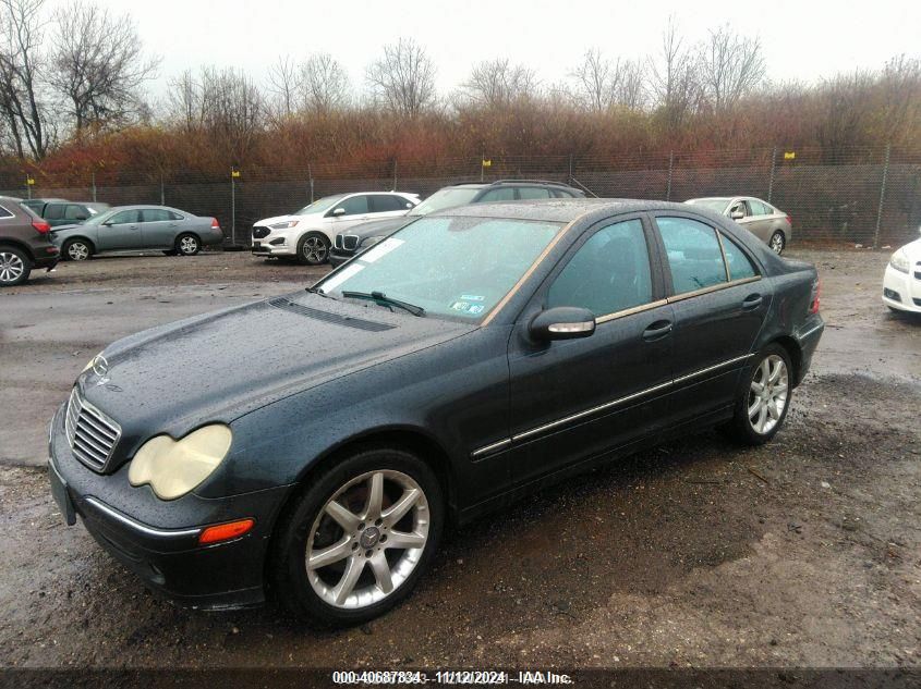 2003 Mercedes-Benz C-Class 3.2L VIN: WDBRF84JX3F383095 Lot: 40687834