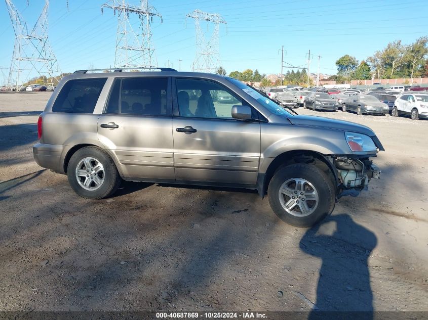 2005 Honda Pilot Ex VIN: 5FNYF18405B041896 Lot: 40687869