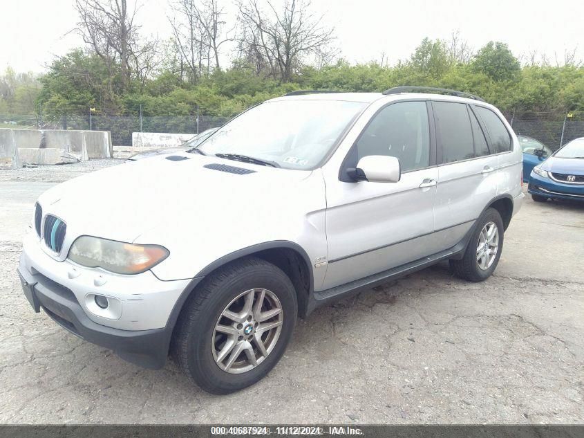 2006 BMW X5 3.0I VIN: 5UXFA13536LY31745 Lot: 40687924