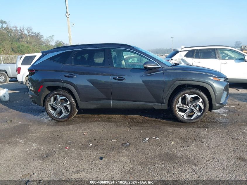 2024 Hyundai Tucson Limited VIN: 5NMJECDE5RH356213 Lot: 40689624