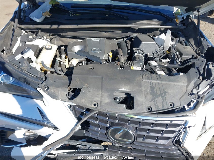 2020 LEXUS NX 300 - JTJGARDZ3L5001012