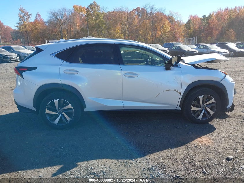 2020 LEXUS NX 300 - JTJGARDZ3L5001012