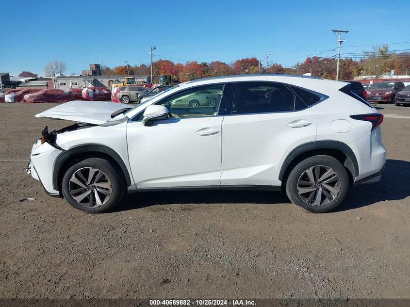 2020 LEXUS NX 300 - JTJGARDZ3L5001012