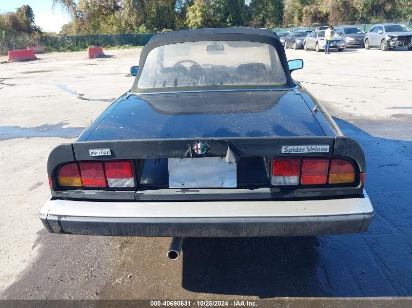 1985 Alfa Romeo Veloce 2000 Spider VIN: ZARBA541XF1023123 Lot: 40690631