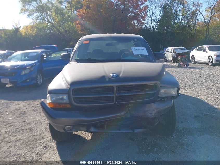 2003 Dodge Dakota Slt VIN: 1D7HL48N43S339750 Lot: 40691551