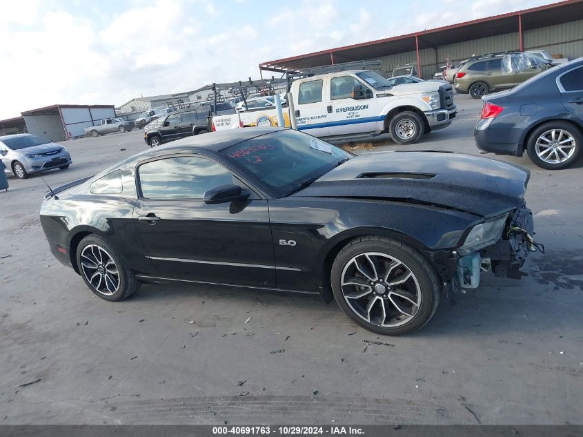 2013 Ford Mustang Gt Premium VIN: 1ZVBP8CFXD5284407 Lot: 40691763