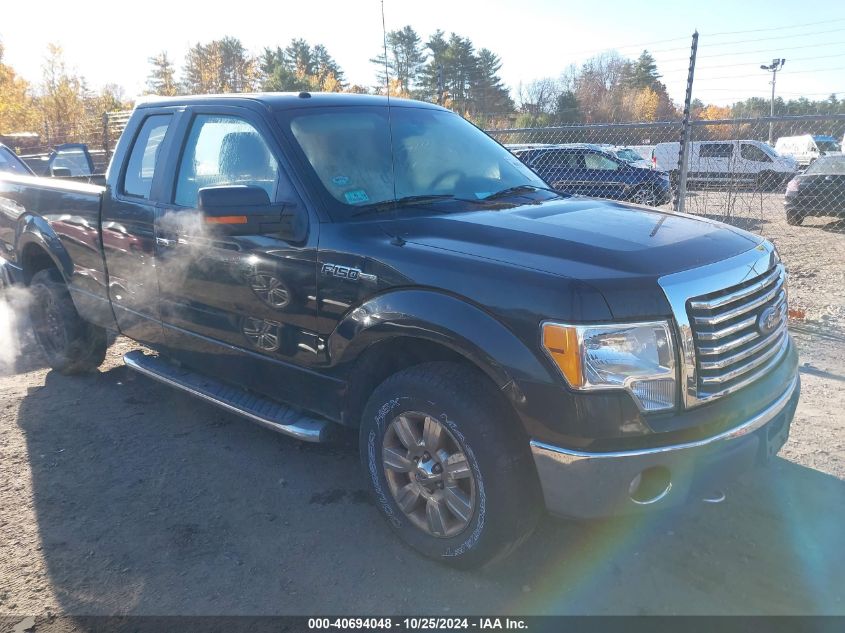 2010 Ford F-150 Fx4/Lariat/Xl/Xlt VIN: 1FTFX1EV0AFD59623 Lot: 40694048