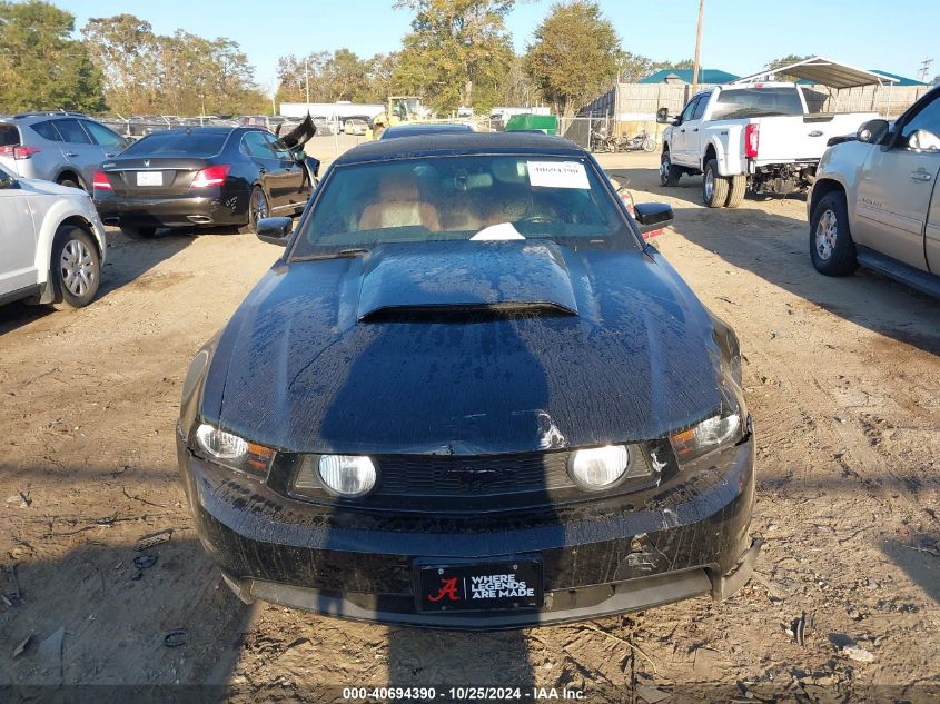 2010 Ford Mustang Gt/Gt Premium VIN: 1ZVBP8FH9A5181410 Lot: 40694390