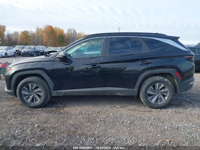 2022 Hyundai Tucson Hybrid Blue VIN: KM8JBCA18NU076276 Lot: 40694901