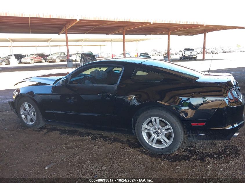 2013 FORD MUSTANG V6 - 1ZVBP8AM1D5219477