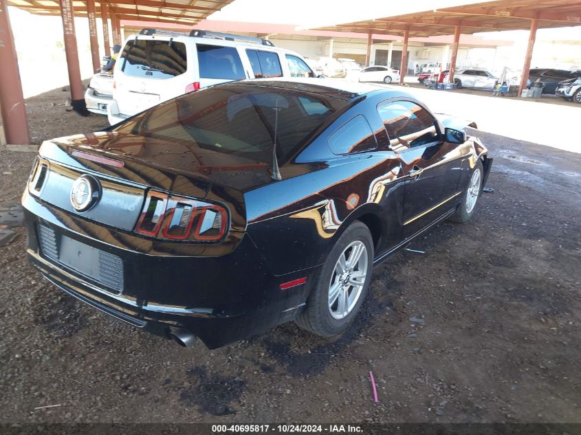 2013 FORD MUSTANG V6 - 1ZVBP8AM1D5219477