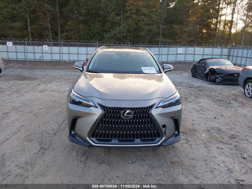 2023 Lexus Nx 350 Premium VIN: 2T2GGCEZ1PC019526 Lot: 40700034