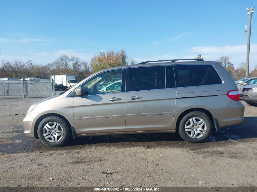 2005 Honda Odyssey Ex-L VIN: 5FNRL38775B043714 Lot: 40700042