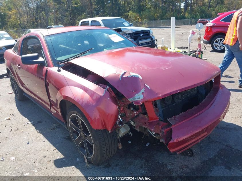 2005 Ford Mustang V6 Deluxe/V6 Premium VIN: 1ZVFT80N355128431 Lot: 40701693