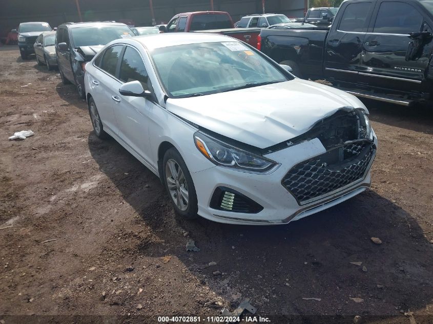 2019 Hyundai Sonata Sel VIN: 2NTE34AF5KH790067 Lot: 40702851