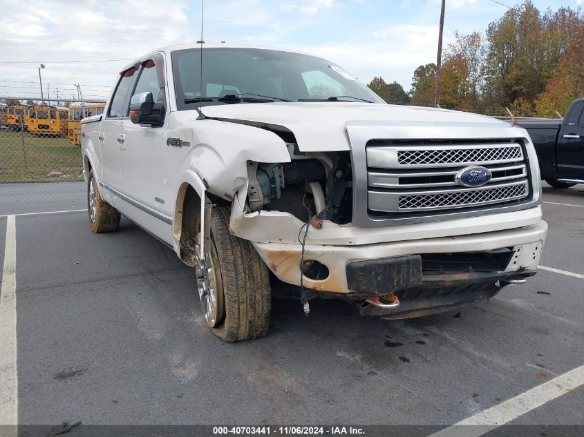 2014 Ford F-150 Platinum VIN: 1FTFW1ET1EFB06866 Lot: 40703441