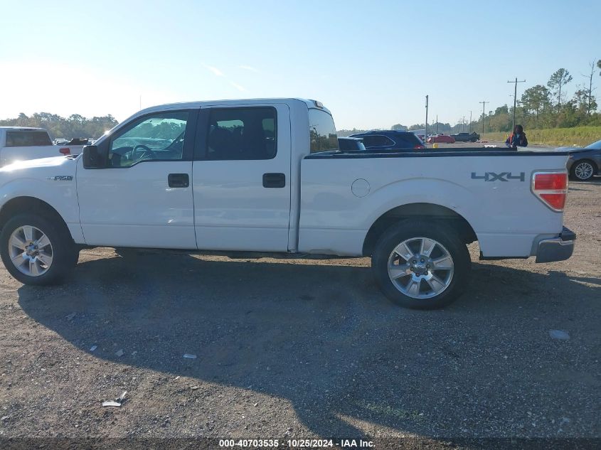 2012 Ford F-150 Fx4/King Ranch/Lariat/Platinum/Xl/Xlt VIN: 1FTFW1EF8CFC44007 Lot: 40703535