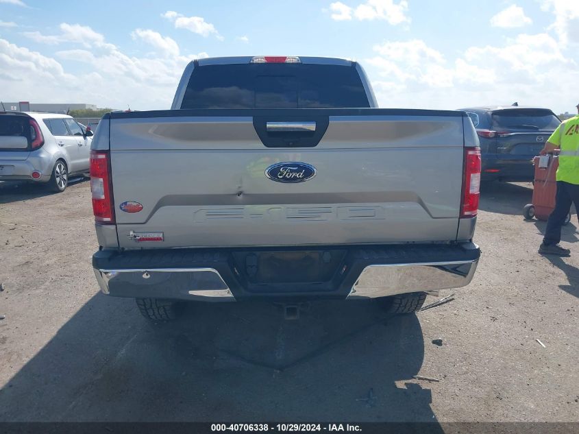 1FTEW1E5XLFA48816 2020 FORD F-150 - Image 17