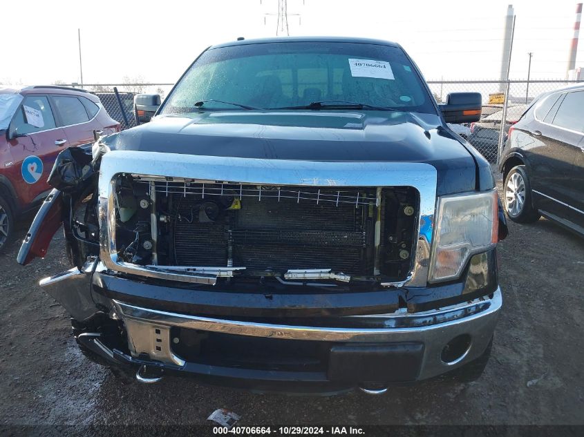 2013 FORD F-150 XLT - 1FTFW1EF8DKD95387