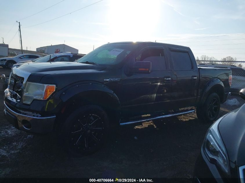 2013 FORD F-150 XLT - 1FTFW1EF8DKD95387