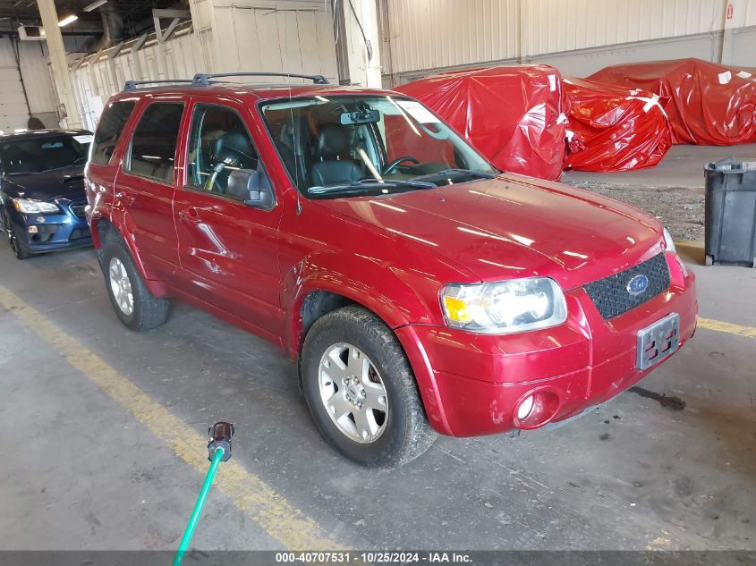 2007 Ford Escape Limited VIN: 1FMYU94127KA43943 Lot: 40707531