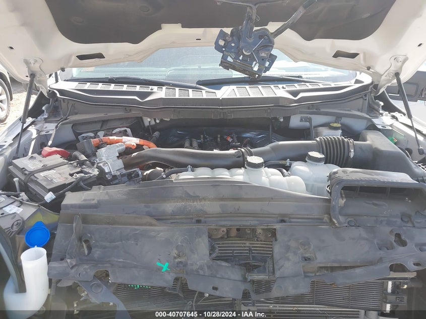 VIN 1FTFW3LD4RFA04250 2024 FORD F-150 XLT