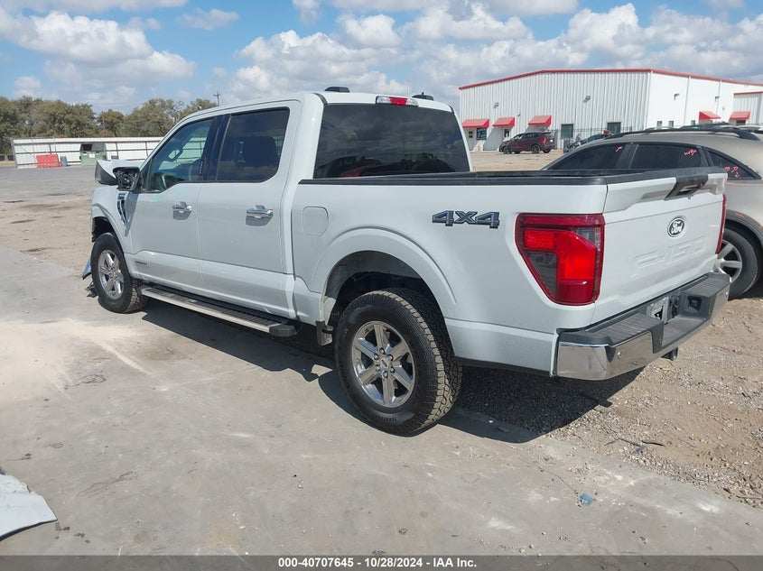 VIN 1FTFW3LD4RFA04250 2024 FORD F-150 XLT