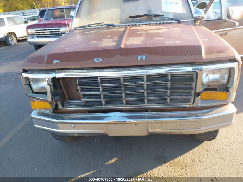 1981 Ford F150 VIN: 1FTDF14E6BPA92009 Lot: 40707950