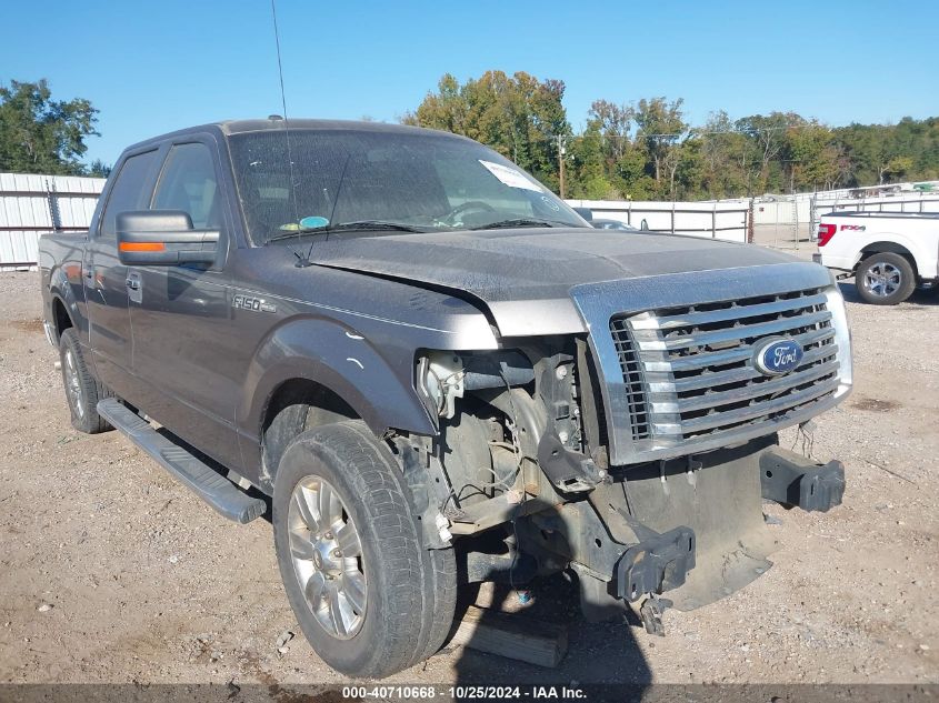 2010 Ford F-150 Xlt VIN: 1FTEW1C85AFD39251 Lot: 40710668