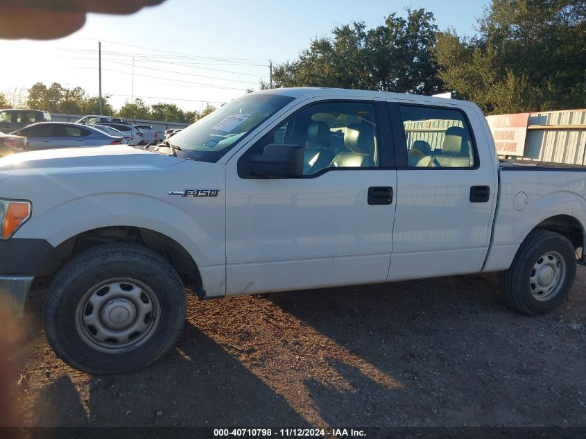 2013 FORD F-150 XL - 1FTFW1CF2DFA47869