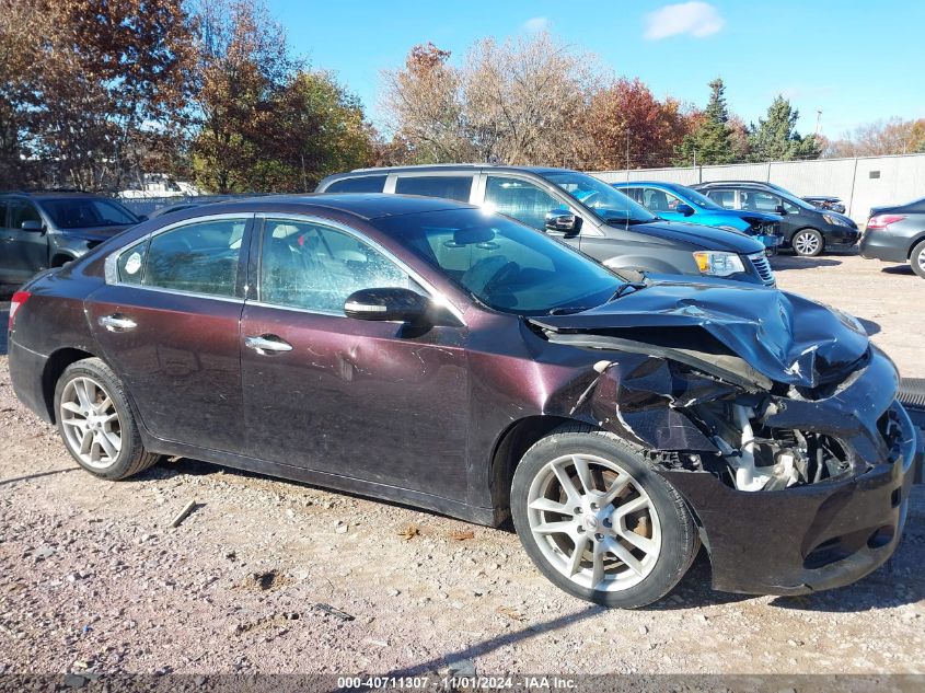 2010 Nissan Maxima 3.5 Sv VIN: 1N4AA5AP9AC834509 Lot: 40711307