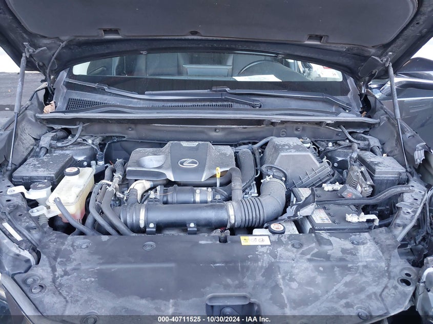 2019 LEXUS NX 300 - JTJBARBZXK2187063