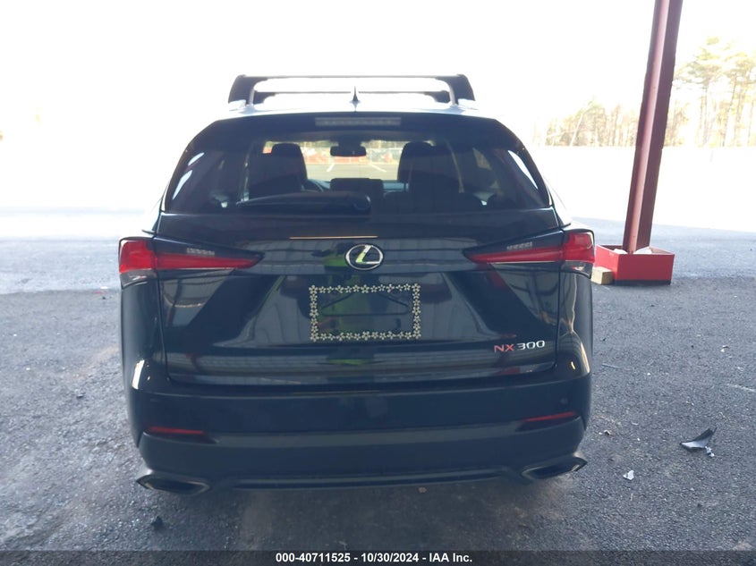 2019 LEXUS NX 300 - JTJBARBZXK2187063