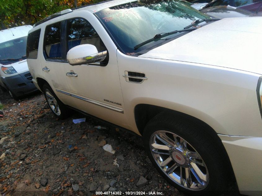 2011 Cadillac Escalade Platinum Edition VIN: 1GYS4DEF2BR113717 Lot: 40714302