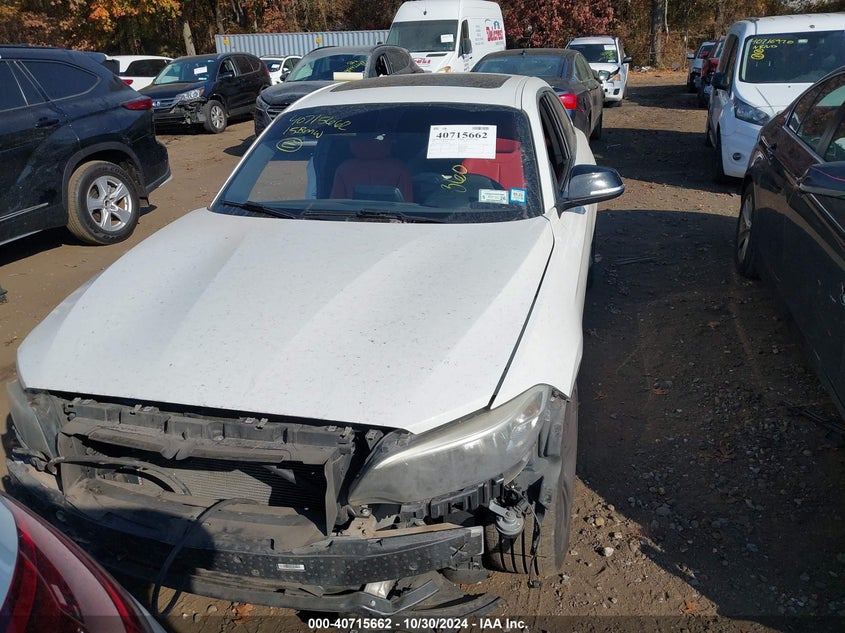 2015 BMW 228I XDRIVE - WBA1F7C53FVX95895