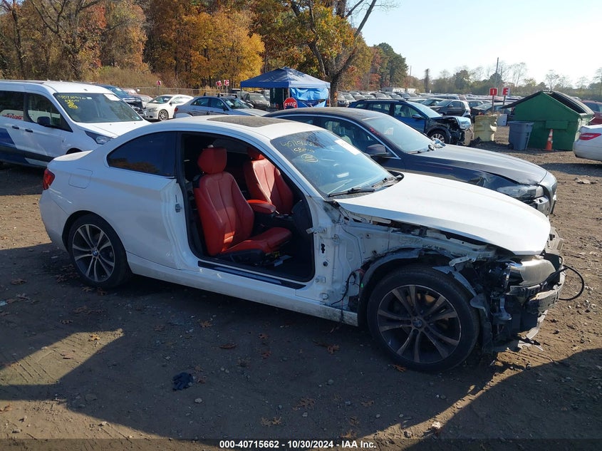 2015 BMW 228I XDRIVE - WBA1F7C53FVX95895