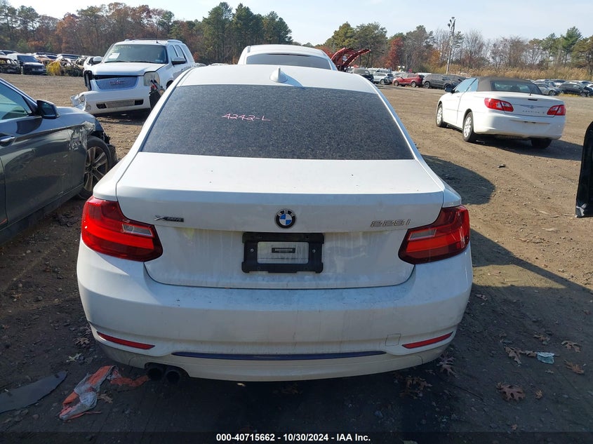 2015 BMW 228I XDRIVE - WBA1F7C53FVX95895