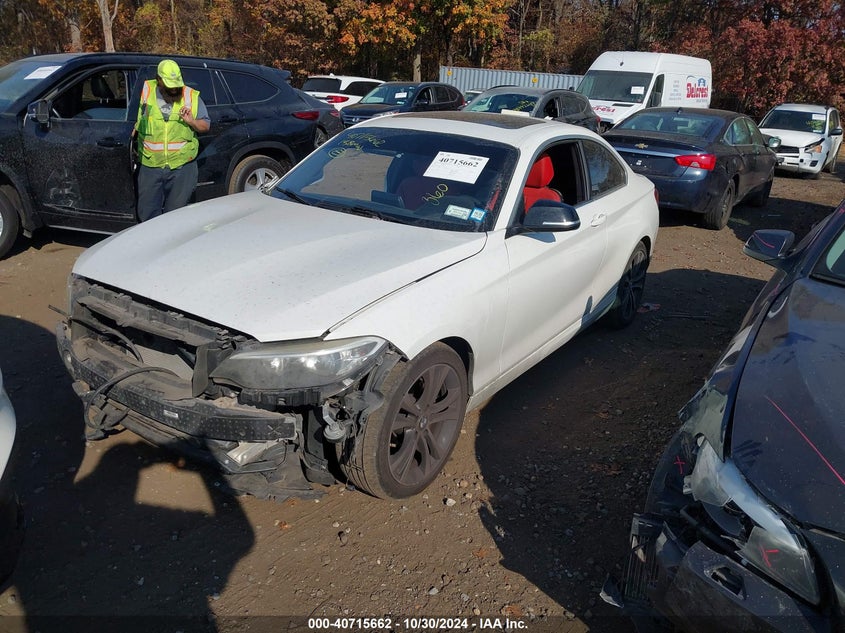 2015 BMW 228I XDRIVE - WBA1F7C53FVX95895