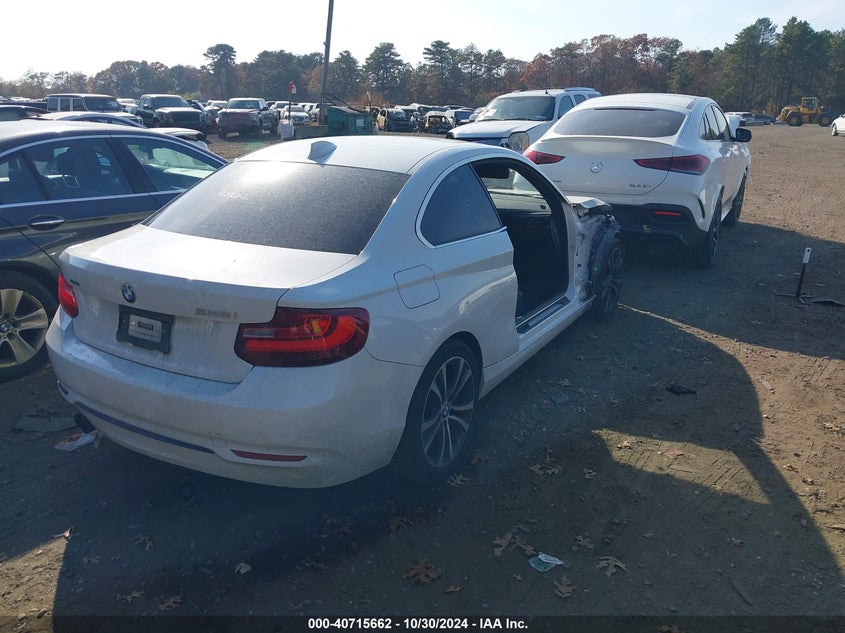 2015 BMW 228I XDRIVE - WBA1F7C53FVX95895