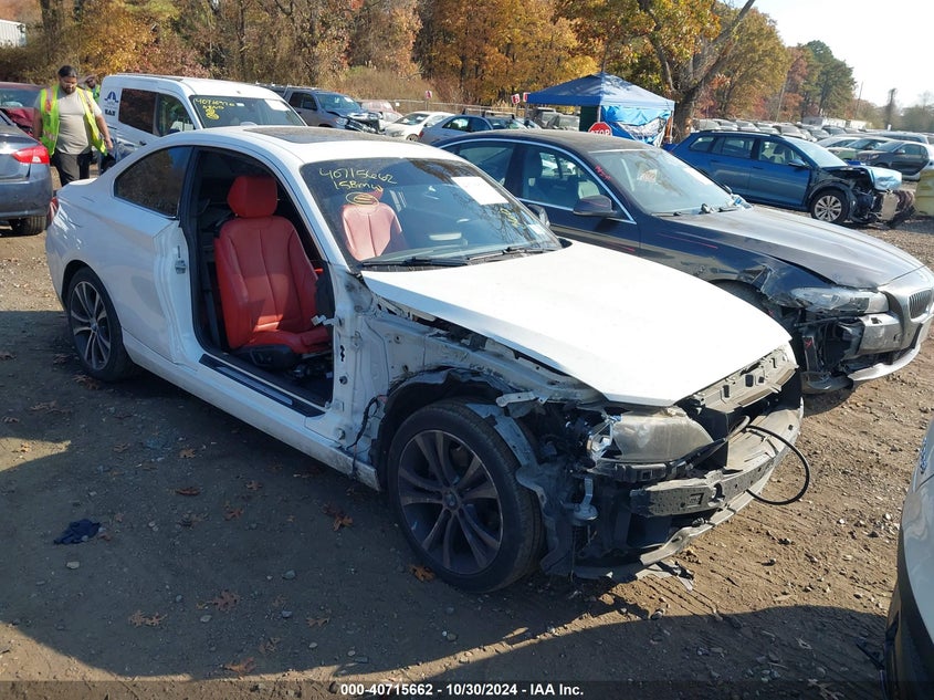 2015 BMW 228I XDRIVE - WBA1F7C53FVX95895