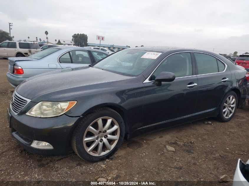 2009 Lexus Ls 460 460 VIN: JTHBL46FX95091201 Lot: 40715854