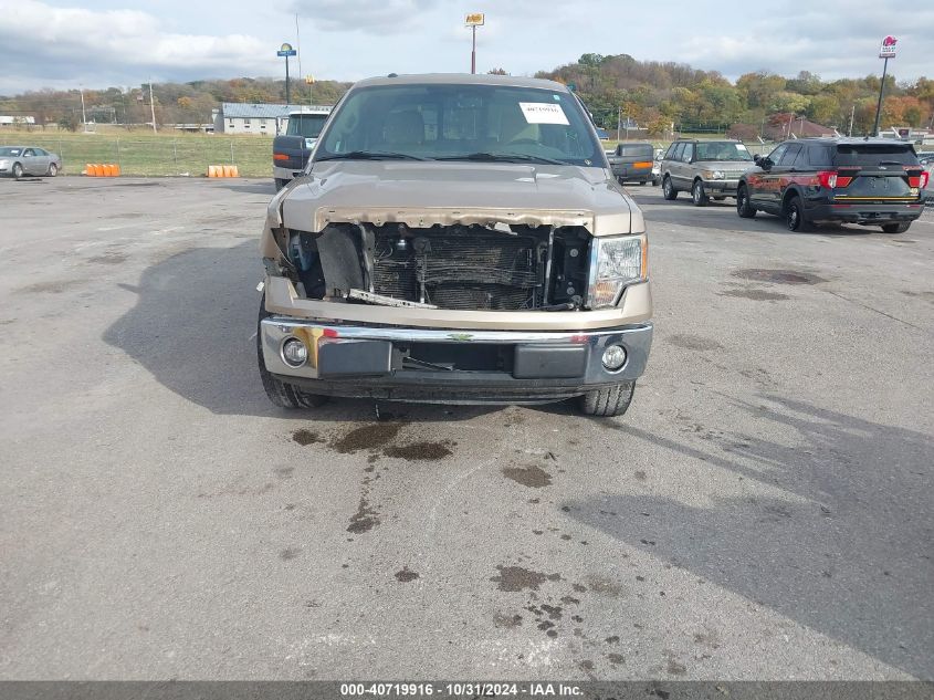 VIN 1FTFW1CF5DKD22335 2013 FORD F-150 no.12