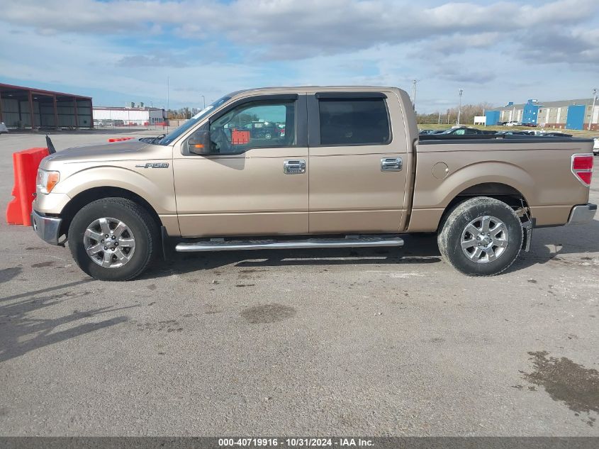 VIN 1FTFW1CF5DKD22335 2013 FORD F-150 no.14