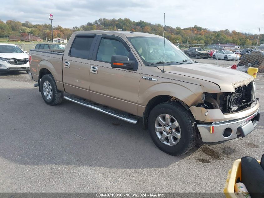 VIN 1FTFW1CF5DKD22335 2013 FORD F-150 no.1