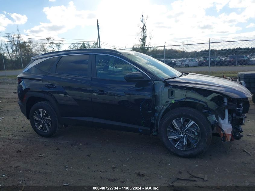 2024 Hyundai Tucson Hybrid Blue VIN: KM8JBCD12RU207459 Lot: 40722734