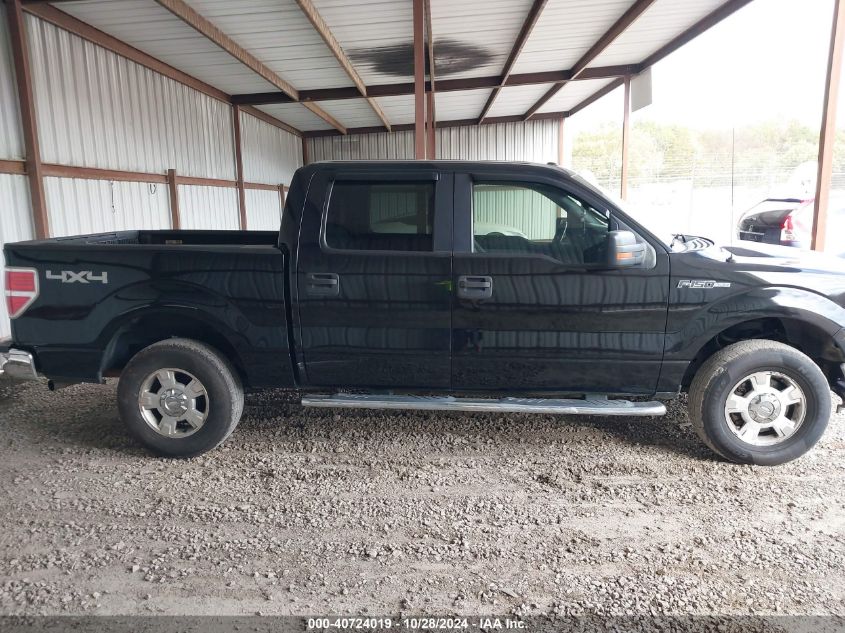 2013 Ford F-150 Xlt VIN: 1FTFW1EF7DFC48504 Lot: 40724019