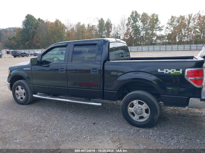 2013 Ford F-150 Xlt VIN: 1FTFW1EF7DFC48504 Lot: 40724019